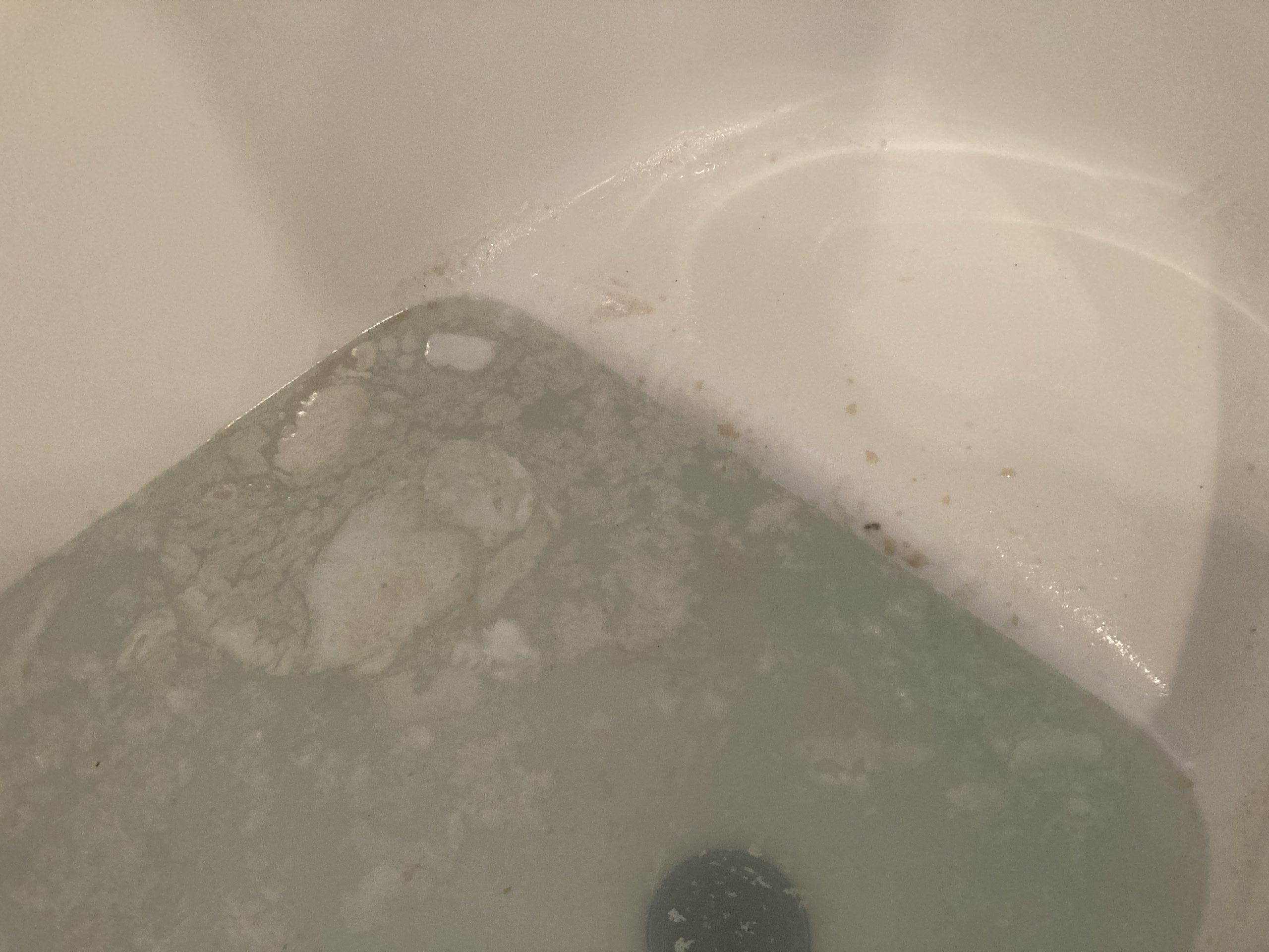 追い炊き配管内に蓄積していた皮脂汚れです。
