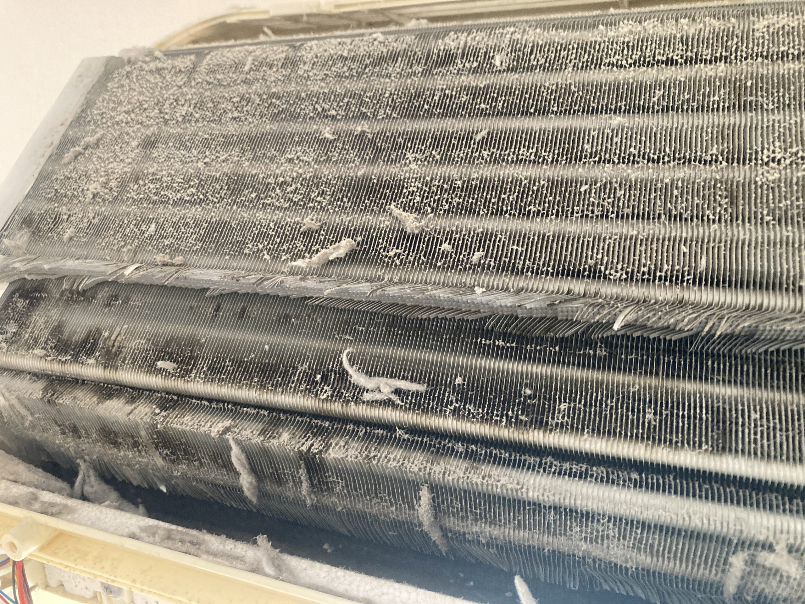 【福岡市城南区】エアコンクリーニング実例｜シャープ AY-B63SX-W（2012年製）を徹底洗浄