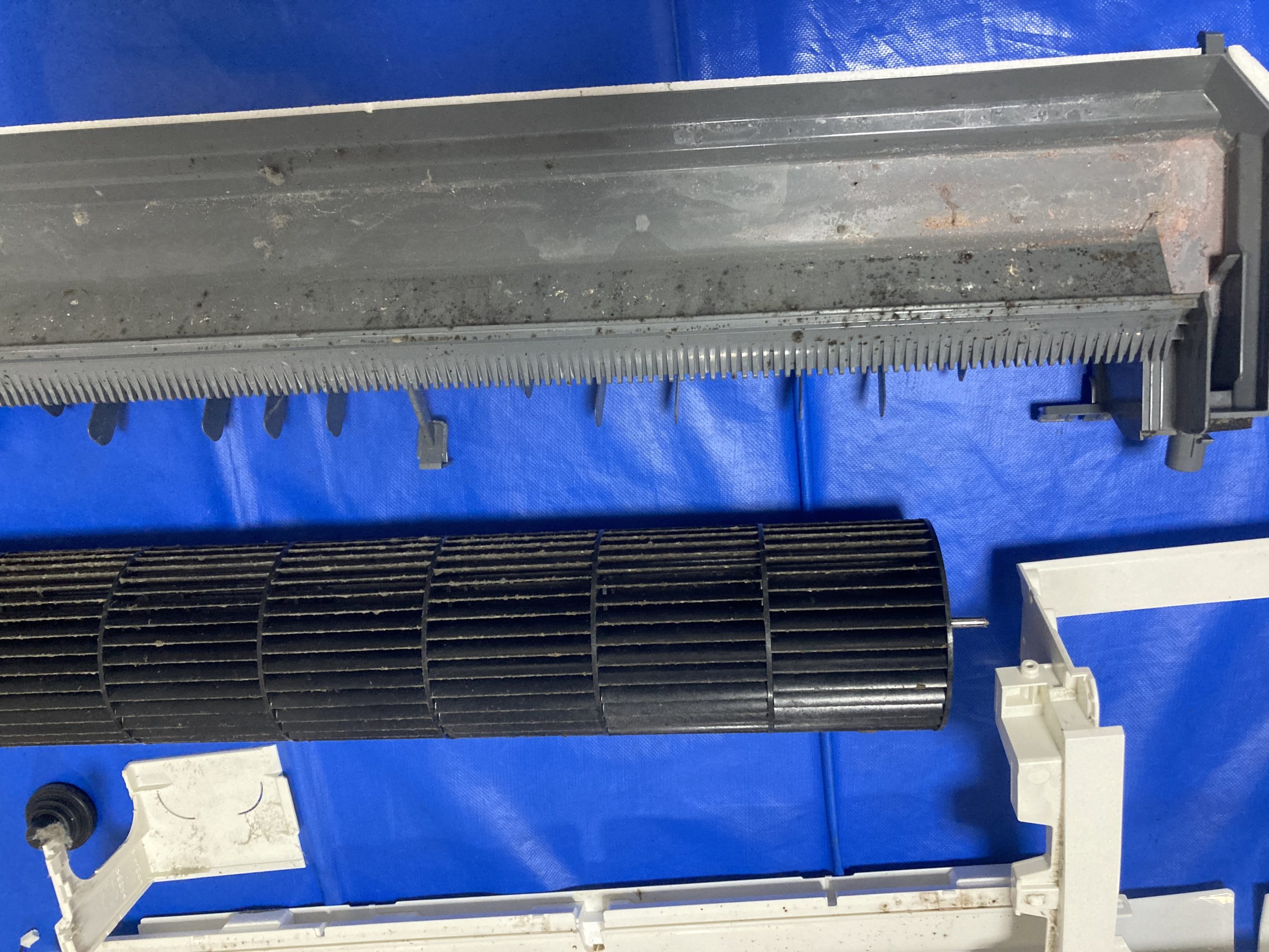 ニオイの原因となる黒カビが羽根の奥まで付着。