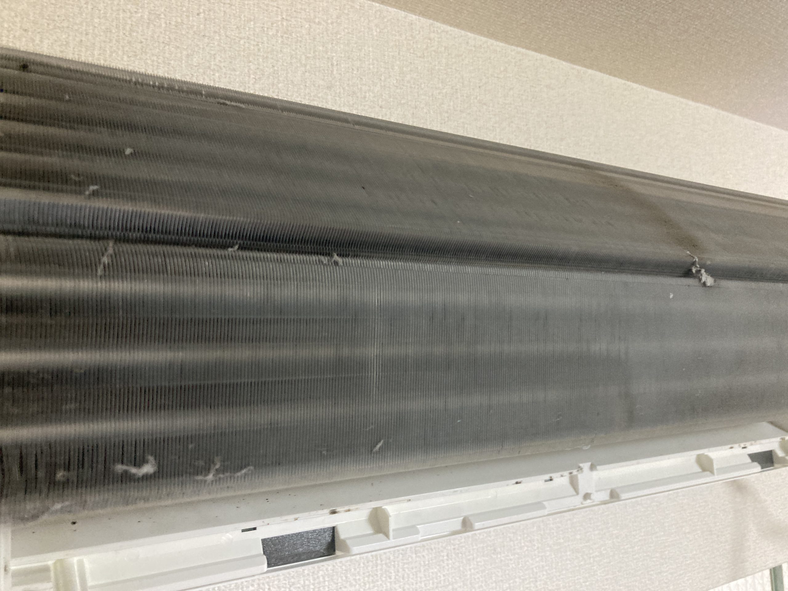 ここまで丸裸にするため、隠れたカビを100%可視化できます。