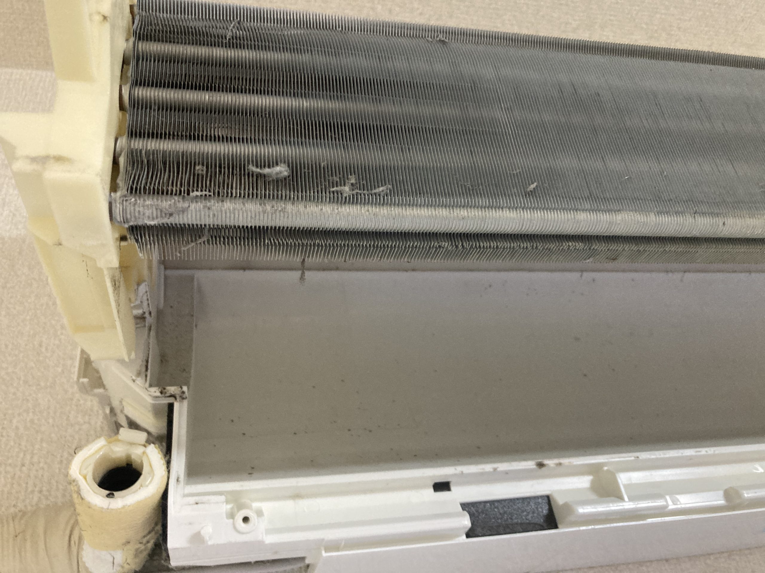 普段見えない裏側にも汚れが蓄積していました。