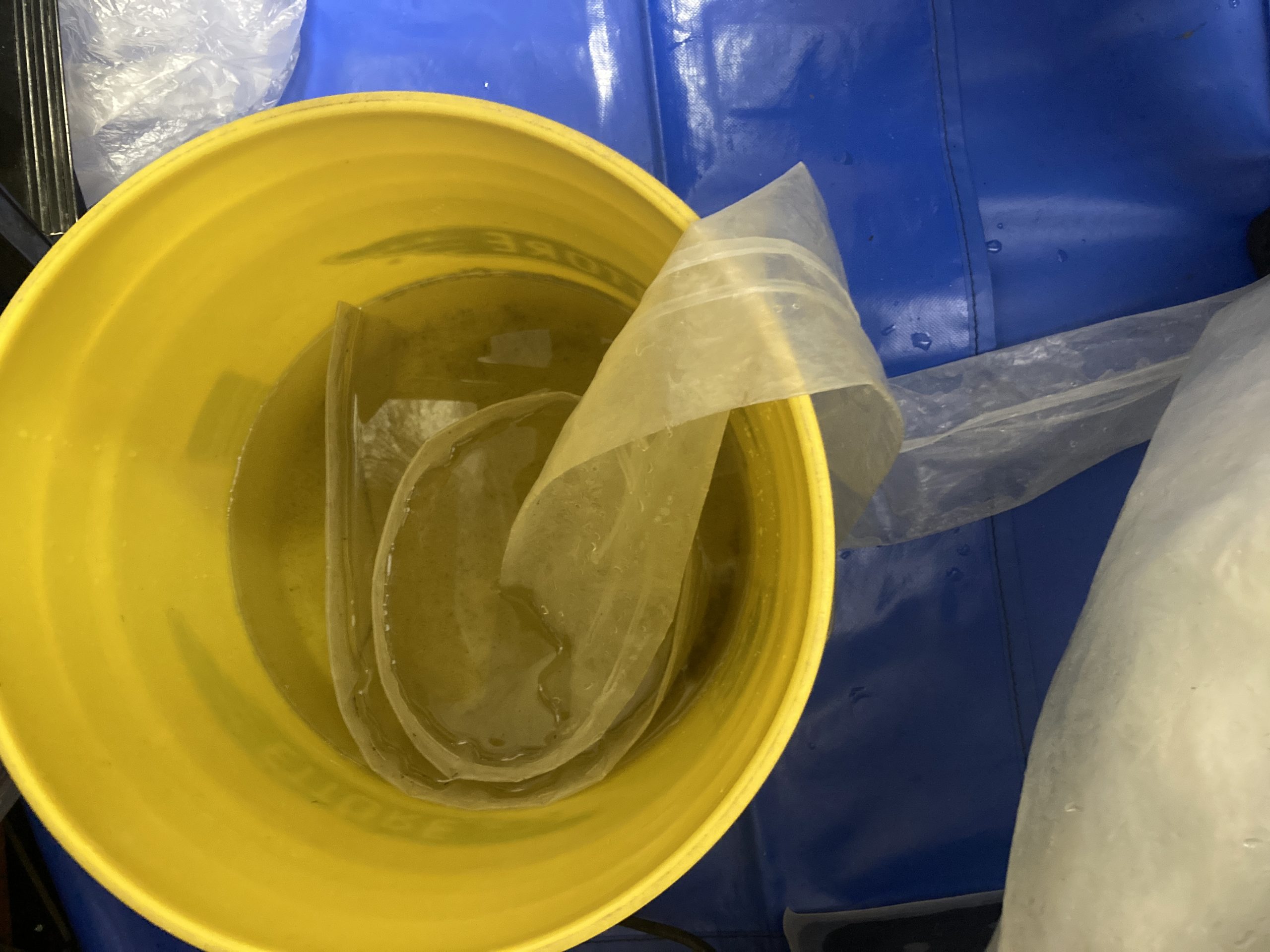 【洗浄後の汚水】一見きれいなエアコンでも、内部にはこんなに汚れがたまっています。黒い水がカビやホコリの証拠です。