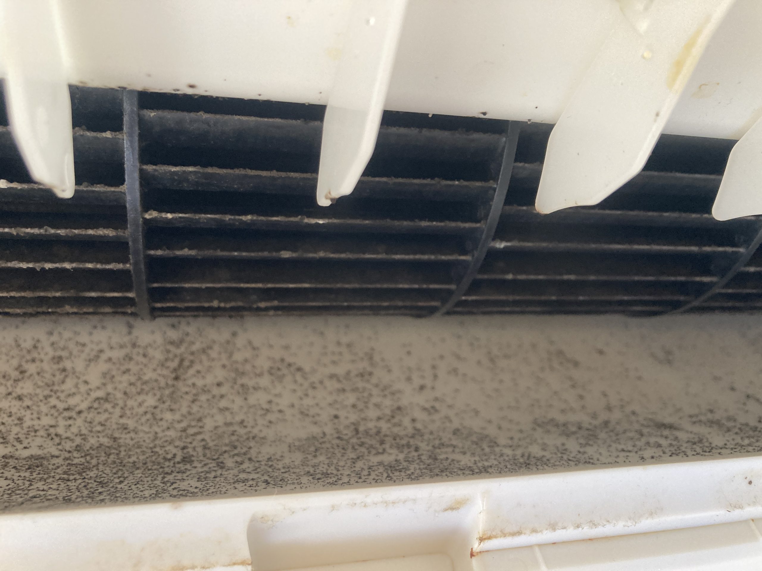 『吹き出し口に黒いカビが多数付着』「吹き出し口に黒カビが広がり、風にカビ臭が混ざっている状態でした。」