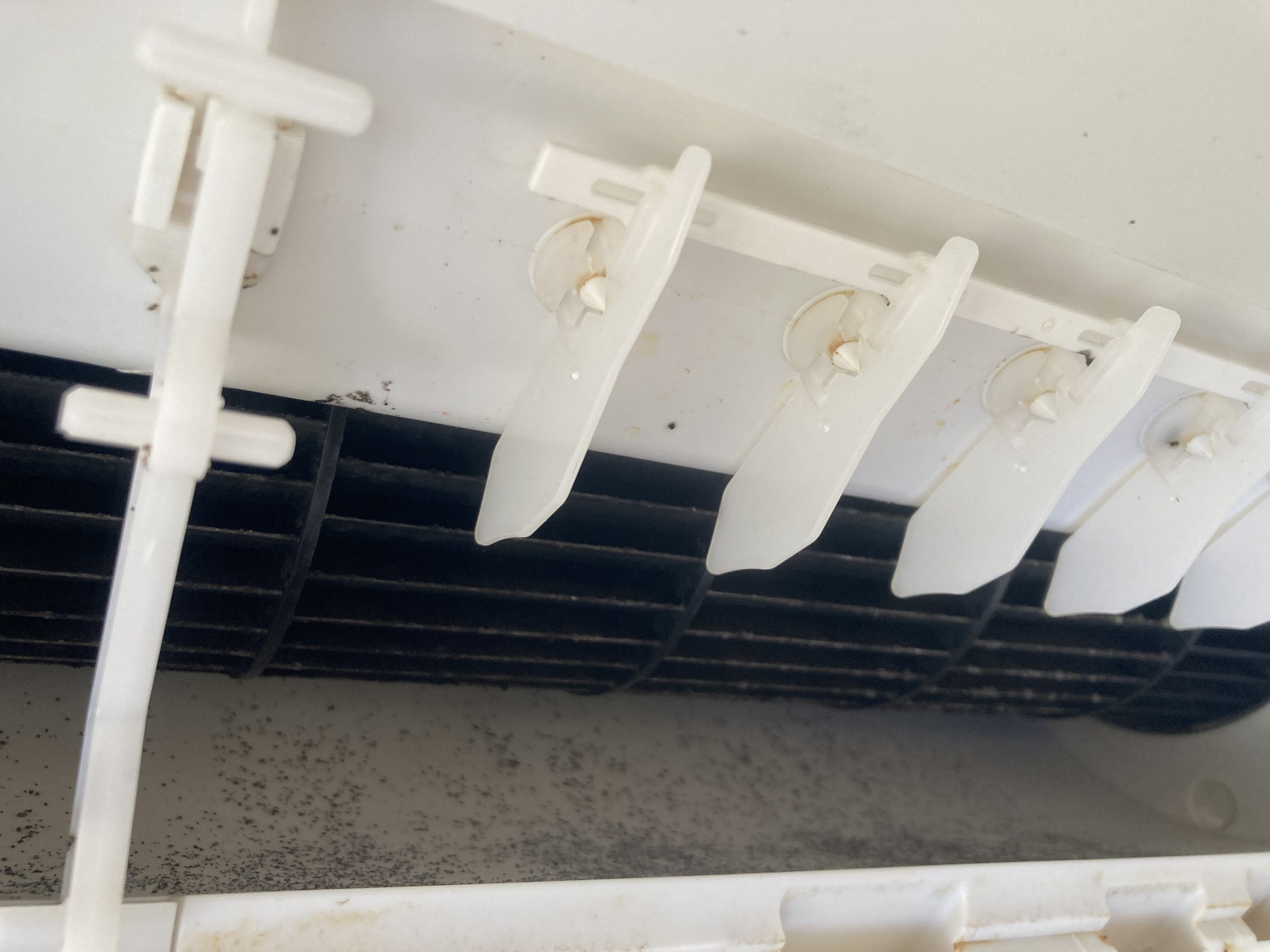 『ファンの羽根にホコリとカビが固着』「送風ファンの羽根にはホコリとカビが固まり、風量低下の原因になっていました。」