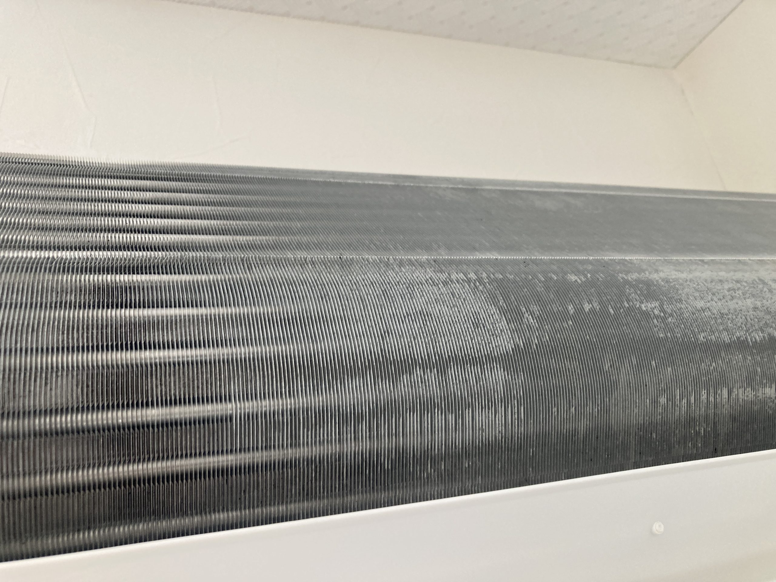 『除菌剤入りのお湯で徹底すすぎ洗浄』「除菌剤入りのお湯でしっかりすすぎ、カビの原因菌まで徹底除去します。」
