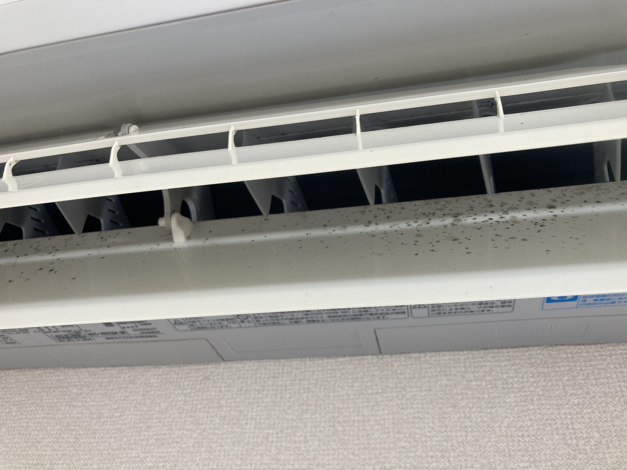 ルーバーにカビ汚れ