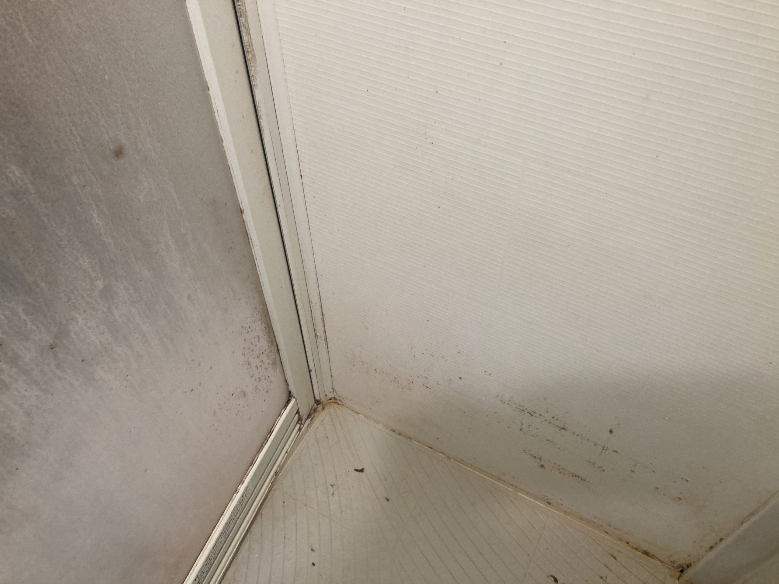 浴室の汚れたドア