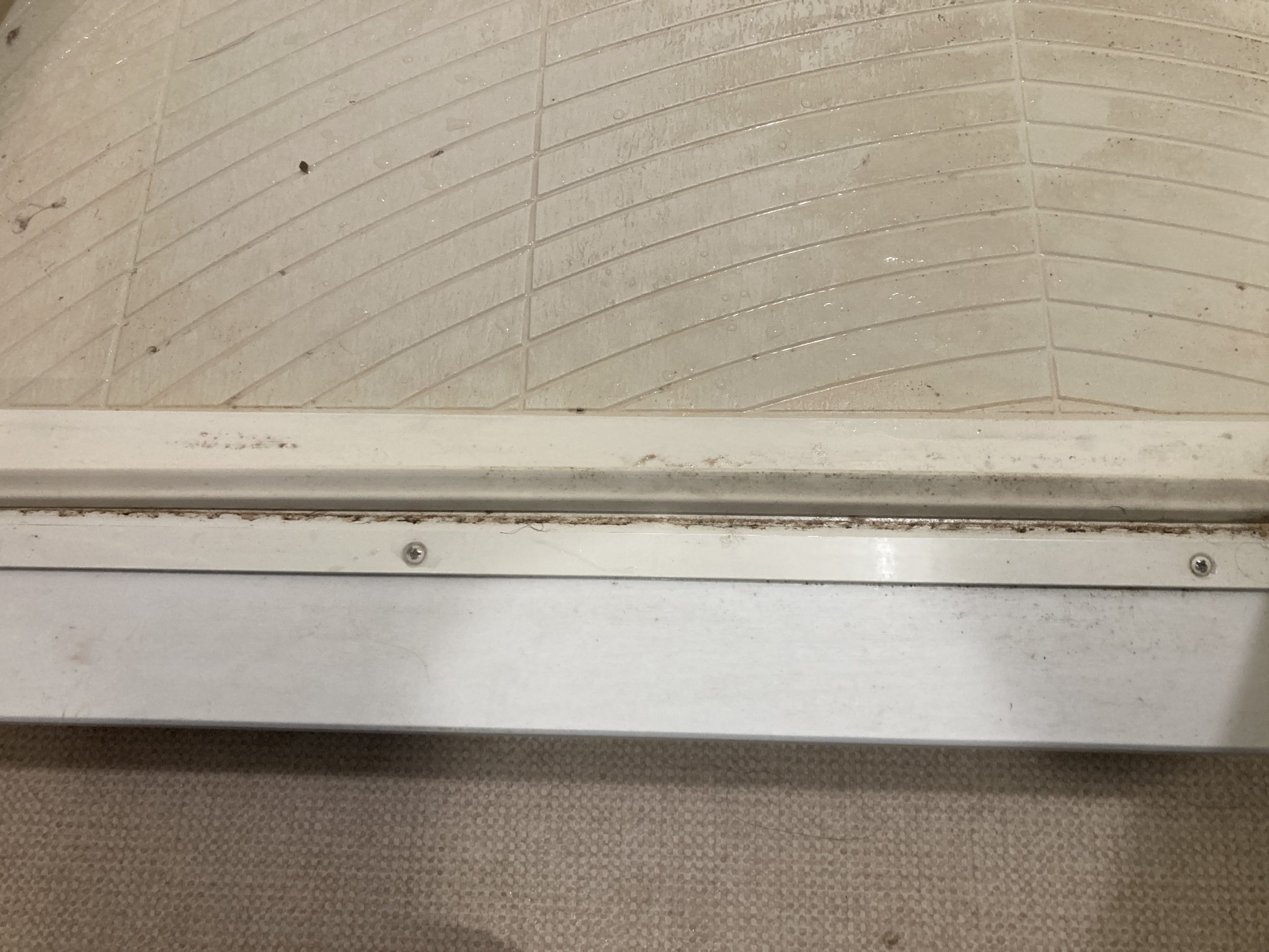 浴室の清掃前のドアサッシ