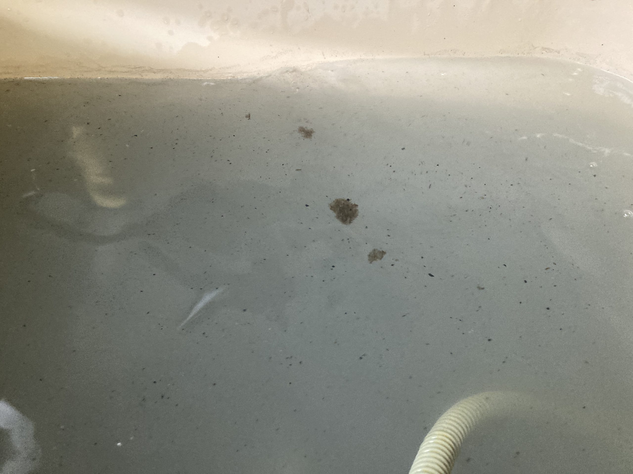 風呂釜洗浄によって配管内から出てきた黒いカスの塊