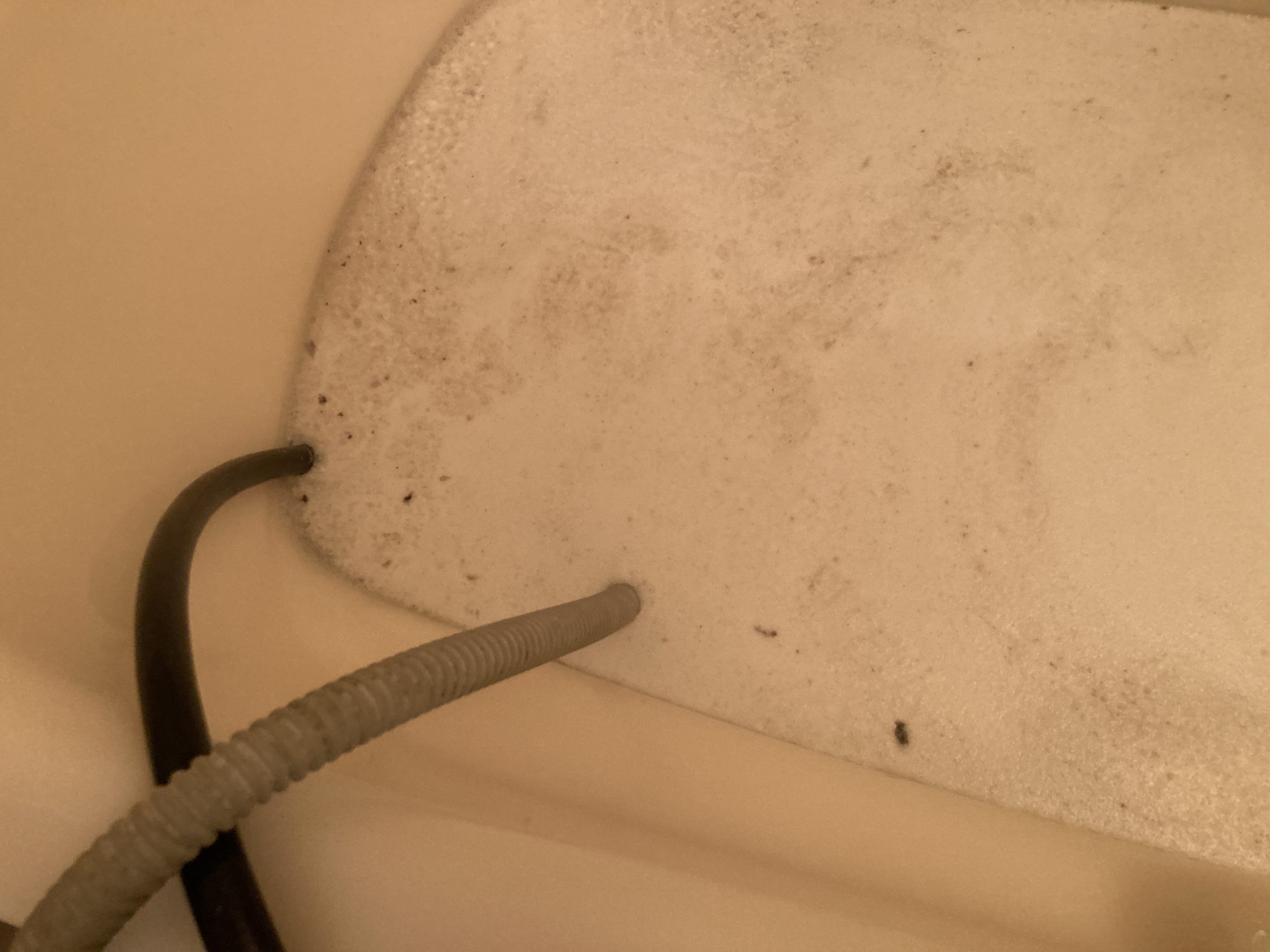 風呂釜洗浄剤を入れて5分