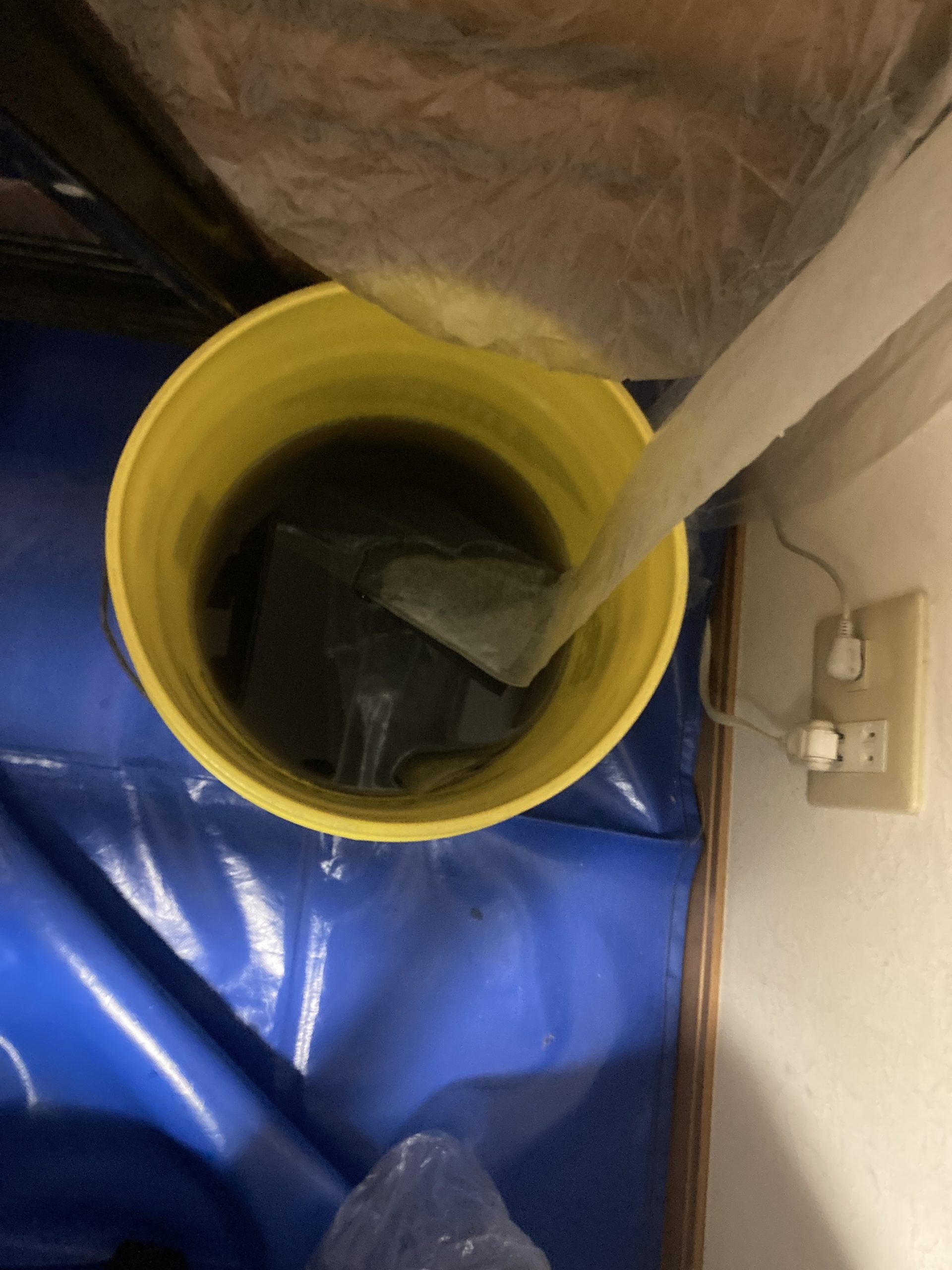 洗浄後の汚水です。
4年分のカビや汚れが溶け出し、かなり黒くなっているのが分かります。