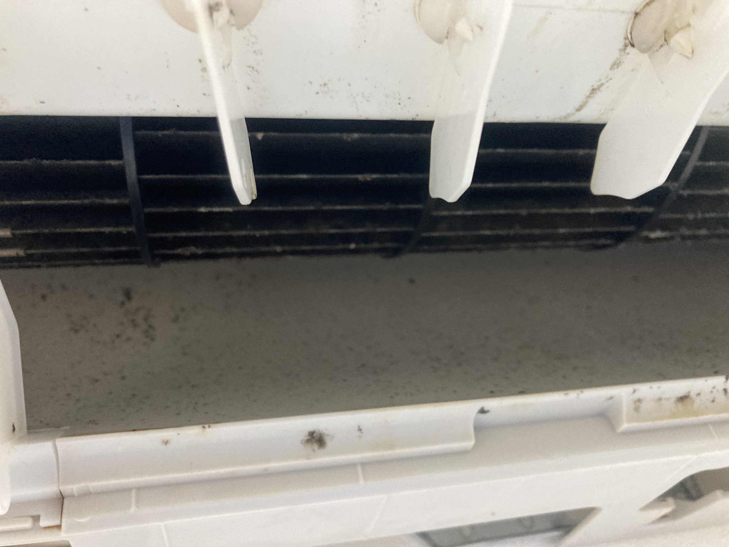 施工前:エアコン送風ファン カビ汚れ ビフォー