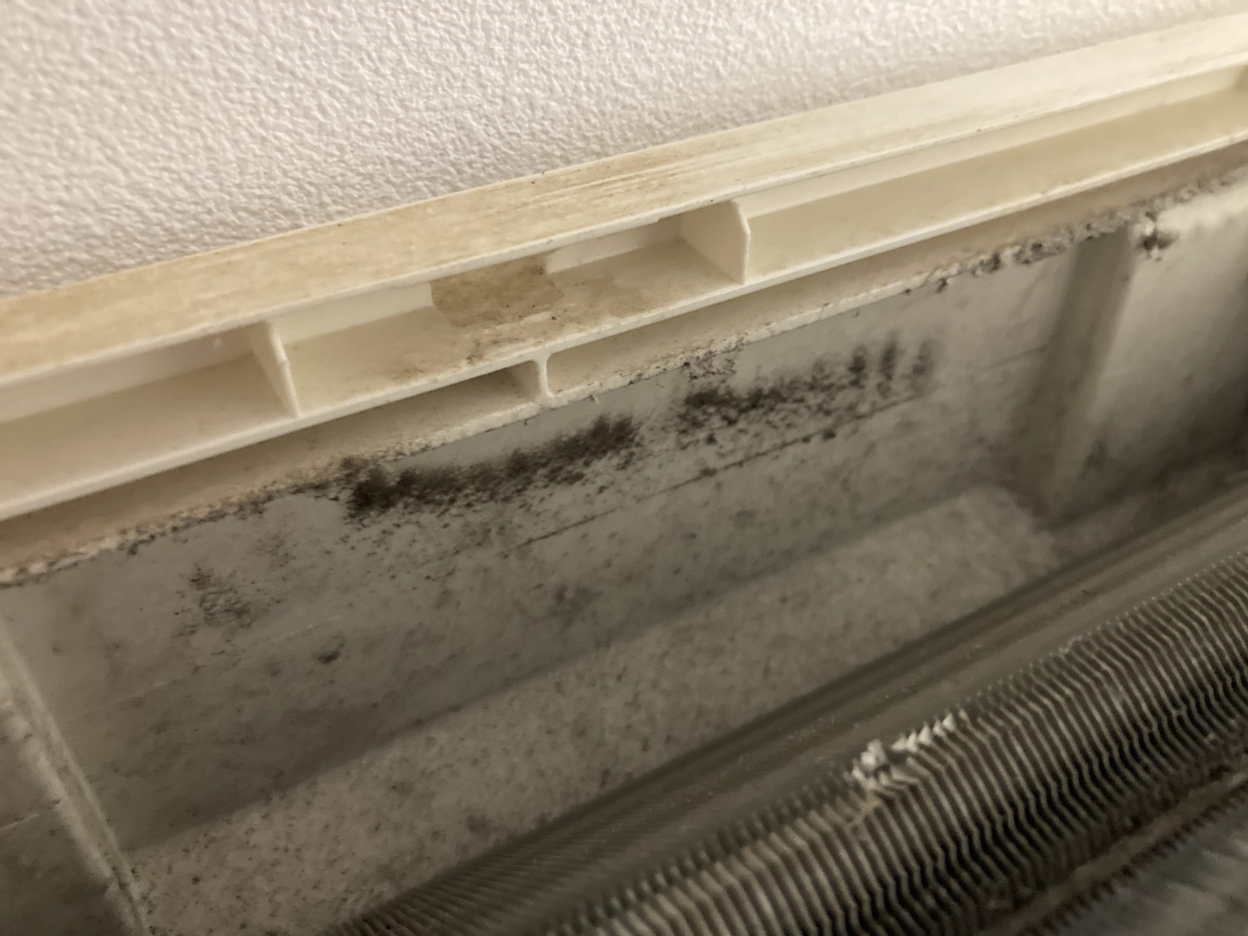 洗浄前の熱交換器裏側